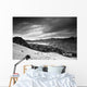 A Forest Area Along The Coast Under A Dark Cloudy Sky Wall Mural
