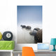 Boulders In A Row In The Shallow Water At The Beach Along The Coast Wall Mural