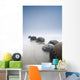 Boulders In A Row In The Shallow Water At The Beach Along The Coast Wall Mural