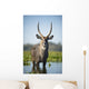 An Antelope Standing In Shallow Water Wall Mural