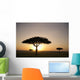 Trees On The Savannah With The Sun Glowing At Sunset Wall Mural