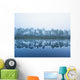 Trees Along The Shoreline Reflected In The Tranquil Water Wall Mural