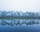 Trees Along The Shoreline Reflected In The Tranquil Water Wall Mural