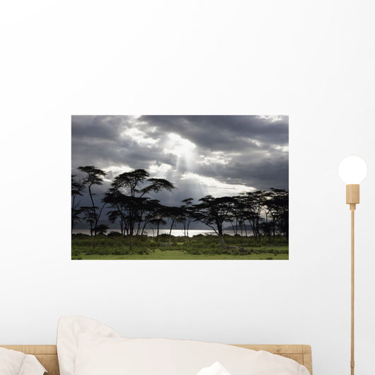 Sunlight Shining Through The Dark Clouds With Trees On The Shoreline Wall Mural