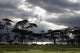 Sunlight Shining Through The Dark Clouds With Trees On The Shoreline Wall Mural