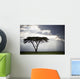 Sunlight Shining Through The Dark Clouds And A Lone Tree In A Field Wall Mural