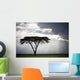 Sunlight Shining Through The Dark Clouds And A Lone Tree In A Field Wall Mural