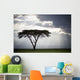 Sunlight Shining Through The Dark Clouds And A Lone Tree In A Field Wall Mural