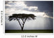 Sunlight Shining Through The Dark Clouds And A Lone Tree In A Field Wall Mural
