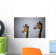 Two Giraffe Heads Side By Side Wall Mural