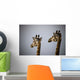 Two Giraffe Heads Side By Side Wall Mural