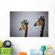 Two Giraffe Heads Side By Side Wall Mural