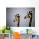 Two Giraffe Heads Side By Side Wall Mural