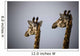 Two Giraffe Heads Side By Side Wall Mural