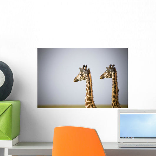 Two Giraffes Standing Side By Side Wall Mural