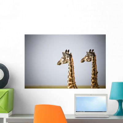 Two Giraffes Standing Side Wall Mural shown on a wall