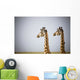 Two Giraffes Standing Side By Side Wall Mural
