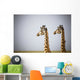 Two Giraffes Standing Side By Side Wall Mural