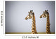 Two Giraffes Standing Side By Side Wall Mural
