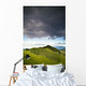 A Lush Green Landscape With Grassy Hills And Trees Wall Mural
