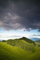A Lush Green Landscape With Grassy Hills And Trees Wall Mural