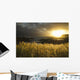 Sunlight Glowing At Sunset And Illuminating The Tall Grass Wall Mural