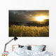 Sunlight Glowing At Sunset And Illuminating The Tall Grass Wall Mural