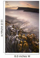 Wet Seaweed Along The Shore Wall Mural