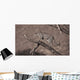 A Leopard In A Tree Wall Mural
