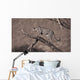A Leopard In A Tree Wall Mural