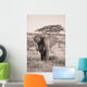 An Elephant Carrying Long Grass In It's Mouth Wall Mural