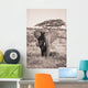 An Elephant Carrying Long Grass In It's Mouth Wall Mural