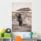 An Elephant Carrying Long Grass In It's Mouth Wall Mural