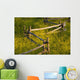 Wildflowers And A Wooden Fence At Sunset Wall Mural