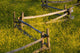 Wildflowers And A Wooden Fence At Sunset Wall Mural
