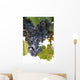 Malbec grapes on the vine in the vineyard of Bodega El Esteco winery Wall Mural
