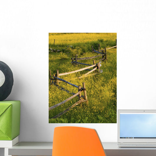 A Wooden Rail Fence Surrounded By Yellow Wildflowers Wall Mural
