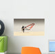 A Windsurfer Runs On The Sand Of Punta Paloma Beach With His Board Wall Mural