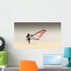 A Windsurfer Runs On The Sand Of Punta Paloma Beach With His Board Wall Mural