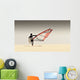 A Windsurfer Runs On The Sand Of Punta Paloma Beach With His Board Wall Mural
