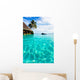 Palm Tree Hanging over