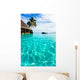 Palm Tree Hanging over