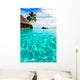 Palm Tree Hanging over