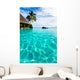 Palm Tree Hanging over