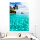 Palm Tree Hanging over