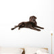 chocolate lab Wall Decal