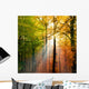 beautiful herbsttag2 Wall Mural