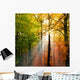beautiful herbsttag2 Wall Mural