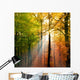 beautiful herbsttag2 Wall Mural