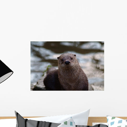 Otter Wall Mural